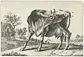 Staande koe (1764)