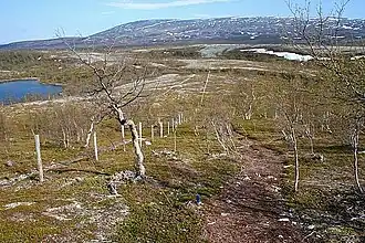 Nationaal park Stabbursdalen