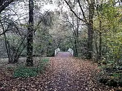 Het Stadspark, herfst 2021