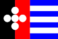 Vlag