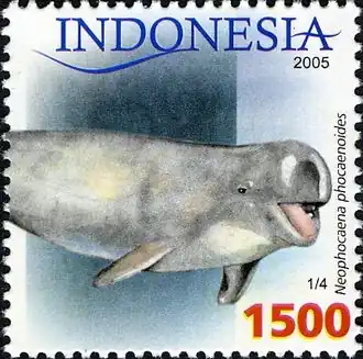 Indische bruinvis