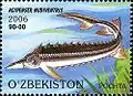 A. nudiventris op een postzegel uit Oezbekistan
