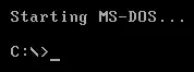 De MS-DOS-opdrachtprompt, direct na het starten.