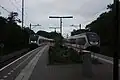 Twee sprinter tijdens de avondschemering op het station
