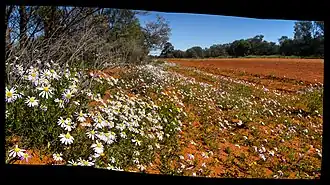 Nationaal park Gundabooka
