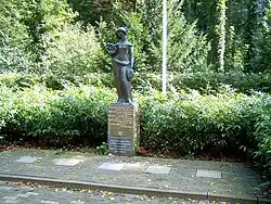 Stedemaagd (1950), Alkmaar