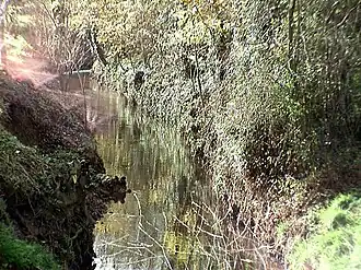 De Heidebeek in Steenvoorde