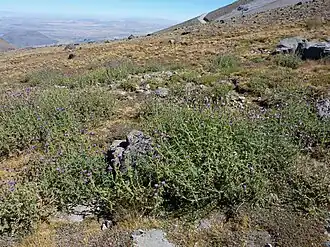 Landschap in Kayseri