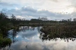 Lieversediep met kijkrichting naar het zuiden op dezelfde vistrap