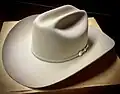 Een Stetson cowboyhoed