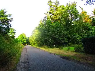 Radioweg door het Radiobos