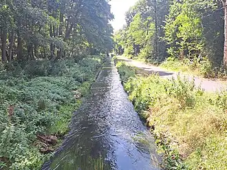 De beek nabij Rooierheide