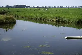 Stitswerdermaar vanaf Stitswerd