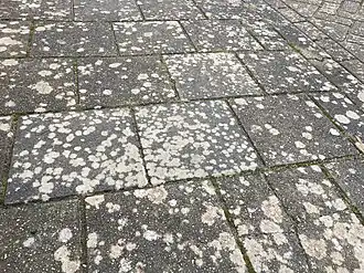 Stoep met de dambordjes-associatie