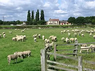 Ferry Boat Inn bij Stoke Bardolph