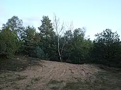 Stokkum, De Zandbulten