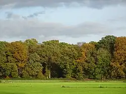 Bergherbos, De Plantage