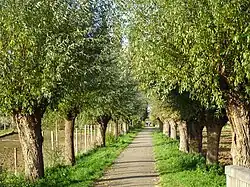 Linthorsterstraat richting Stokkum