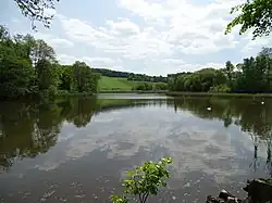 Strážovickývijver (2015)