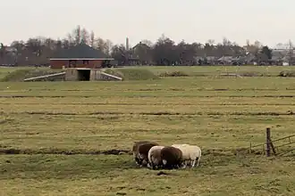 Gerestaureerde fundering en waterloop, met noodkap (2010)