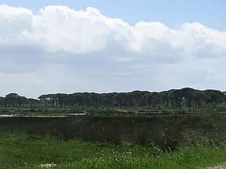 Nationaal park Kotychi-Strofylia