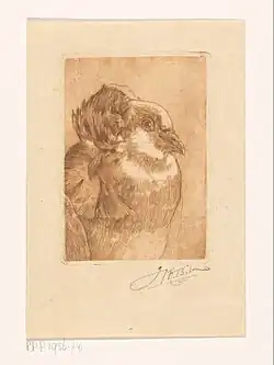 Studie van een duif, ets. Rijksmuseum