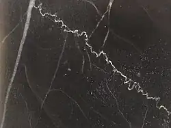 Czarnov kalksteen uit Slowakije