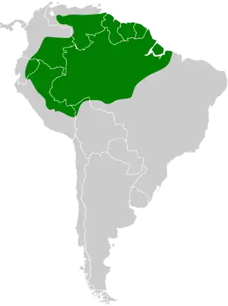 Donkere vliegenpikker