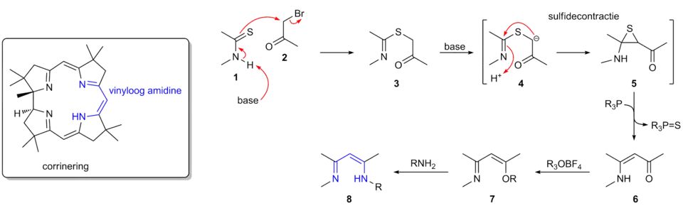 De corrinering in vitamine B12 met het vinyloge amidinesysteem in blauw aangegeven. Rechts het reactiemechanisme van de methode die Eschenmoser ontwikkelde om dit systeem te bereiden: de sulfidecontractie. De reactie start met een alkylering van een thioamide (1), geïnduceerd door een base, waardoor een thio-imino-ester (3) ontstaat. Onder invloed van een base wordt dit gedeprotoneerd, waardoor een intramoleculaire Mannich-reactie plaatsgrijpt en een aminothiiraan (5) ontstaat (de eigenlijke sulfidecontractie). Het zwavelatoom wordt verwijderd met behulp van een fosfine, waardoor een dubbele binding wordt gevormd en een vinyloog amide (6) ontstaat. Alkylering met een elektrofiel reagens, zoals trimethyloxoniumtetrafluorboraat, leidt tot vorming van een imino-enolether (7), dat met een geschikt amine omgezet wordt in het vinyloge amidine (8).