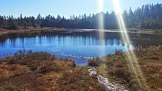 Een meertje in het bosrijke Natuurpark Salmonier
