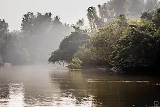 Zonsopgang in Nationaal Park Bhitarkanika