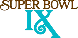 Super Bowl IX