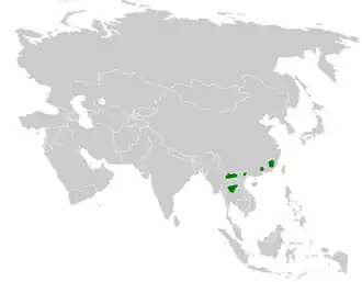 Kleine diksnavelmees