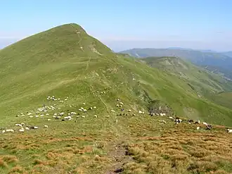 Blyznytsja (augustus 2008)