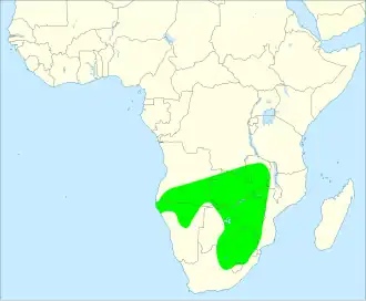 Swainsons frankolijn