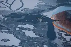 Winter op het Veluwemeer