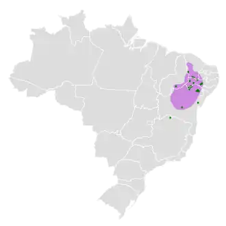 Roodschouderstekelstaart