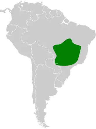 Roestrugbladspeurder