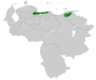 Gevlekte bladspeurder