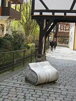 Steinbuch (1981), Tübingen (Leonard Fuchs, Neu Kreuterbuch, 1543)