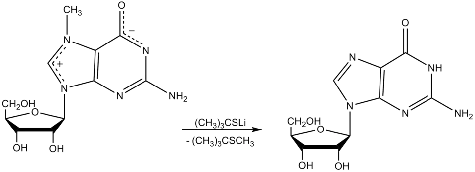 Lithium 2-methylpropane-2-thiolate reactie met 7-methylguanosine.