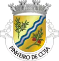 Vlag van Pinheiro de Coja