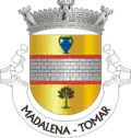 Vlag van Madalena