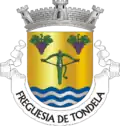 Vlag van Tondela