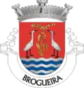 Vlag van Brogueira