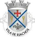 Vlag van Riachos