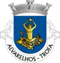 Vlag van Alvarelhos