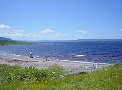 Een zandstrand aan de oever van Deer Lake