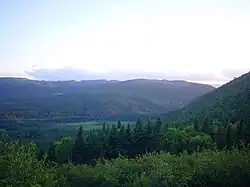 Heuvelachtig boslandschap net buiten Wiltondale