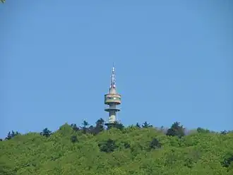De tv-toren steekt boven de bomen uit